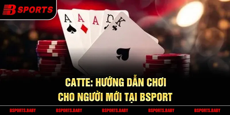 Catte Bsport mẹo theo dõi bài đã đánh để thắng